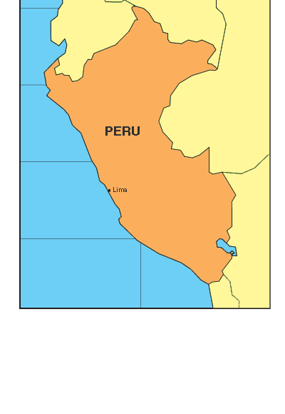 BVS ULAPSI - Peru